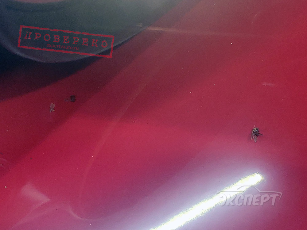 В фаре мухи Ferrari 550 Maranello