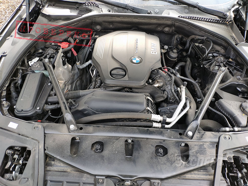 Под капотом фото двигателя дизель BMW 5 F10