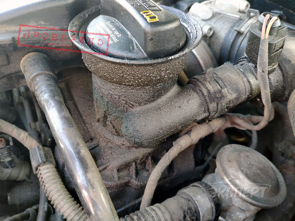 Двигатель в масле Volkswagen Passat B6